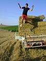 Preparazione campo (13B)